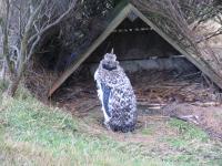 Albums/20060200-New Zealand 2006/20060314-Dunedin/69